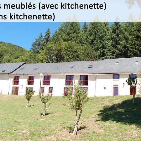 Gite Du Haut Cantal - Appartements Meubles Avec Kitchenette Et Chambres Sans Kitchenette Condat  Eksteriør bilde