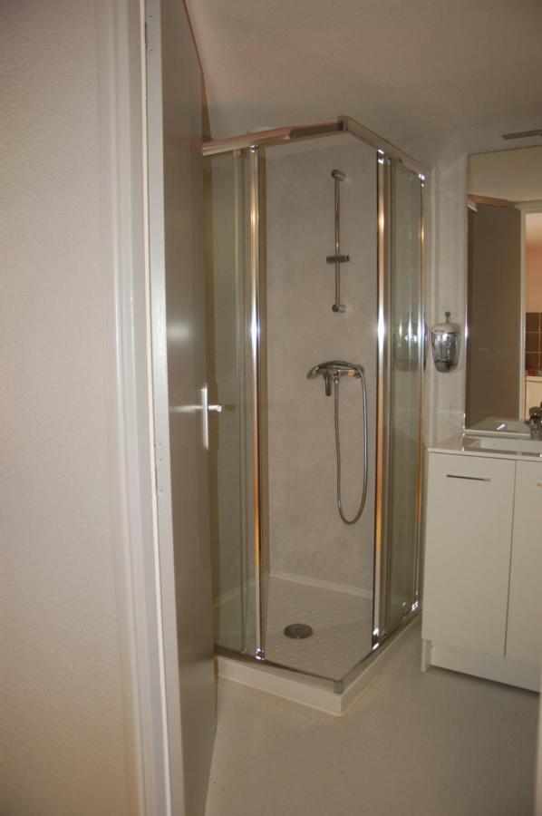 Gite Du Haut Cantal - Appartements Meubles Avec Kitchenette Et Chambres Sans Kitchenette Condat  Eksteriør bilde