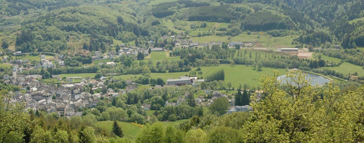 Gite Du Haut Cantal - Appartements Meubles Avec Kitchenette Et Chambres Sans Kitchenette Condat  Eksteriør bilde