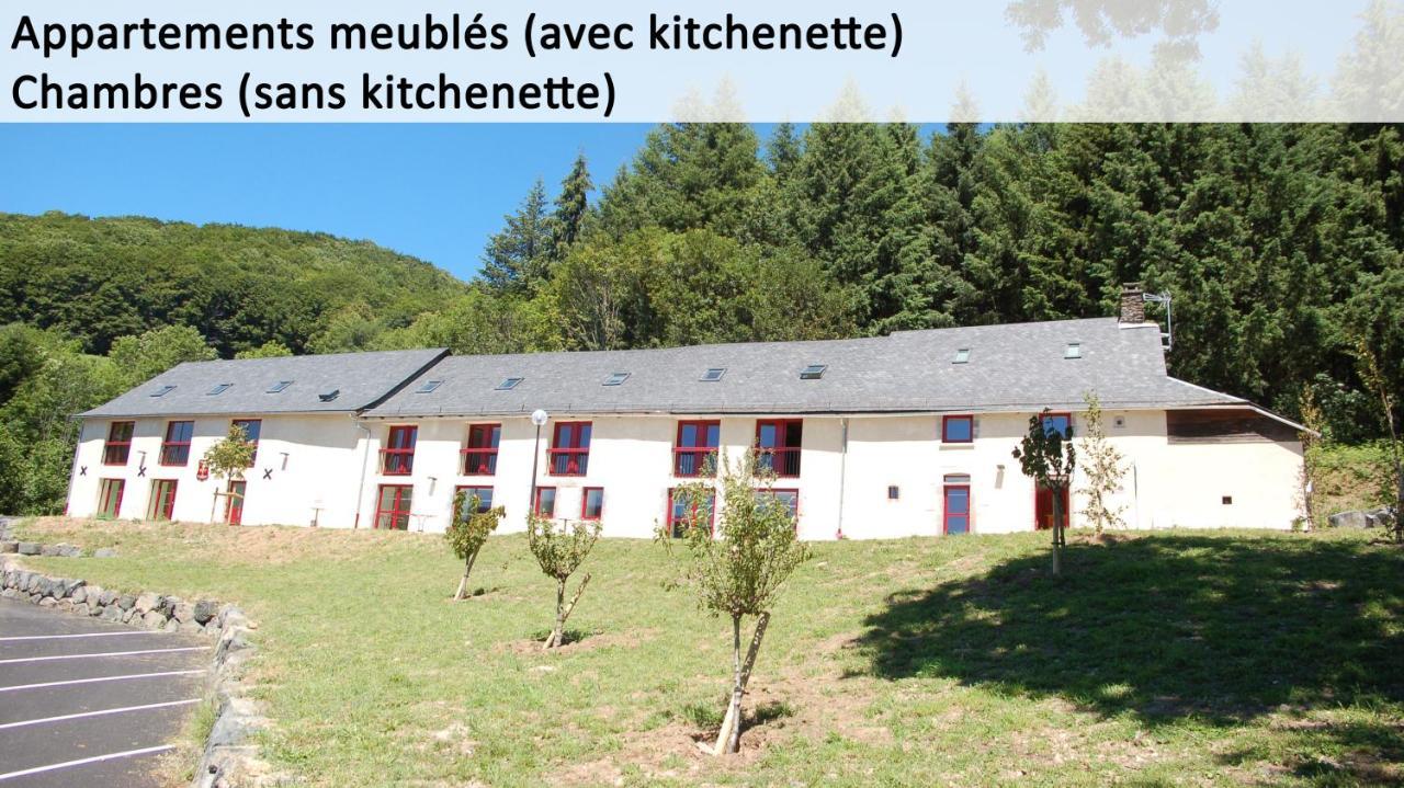 Gite Du Haut Cantal - Appartements Meubles Avec Kitchenette Et Chambres Sans Kitchenette Condat  Eksteriør bilde